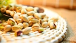 exporters of all kinds of pistachio