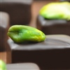 pistachio exporter	