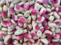 pistachio suppliers and exporters in iran