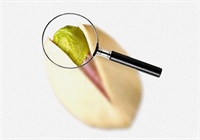 The shells of pistachios have a special benefit – they may slow down consumption.
